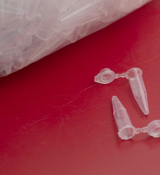 Microcentrifuge tubes