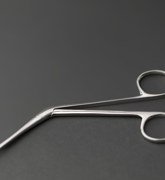 hatterman alligator tweezers 12