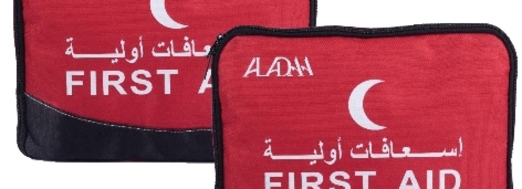 الحقائب العازلة الصغيرة