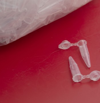Microcentrifuge tubes